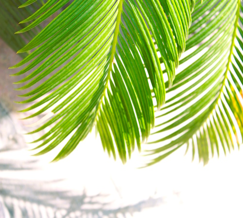 rozmowy z Mistrzem (dialog z Jezusem)